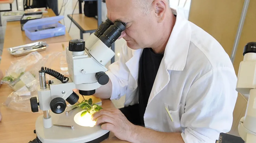 Professor Krzysztof. Matkowski. Photo from press materials