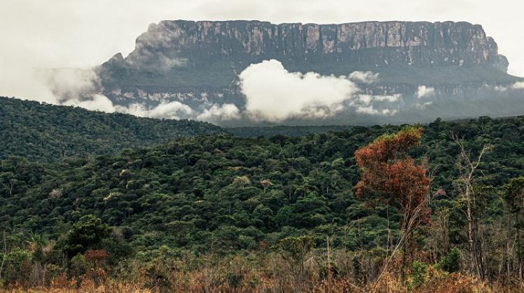 The Guiana Highlands are known for their giant table-top mountains known locally as 'tepui'. The photo shows Aprada-tepui in Venezuela.