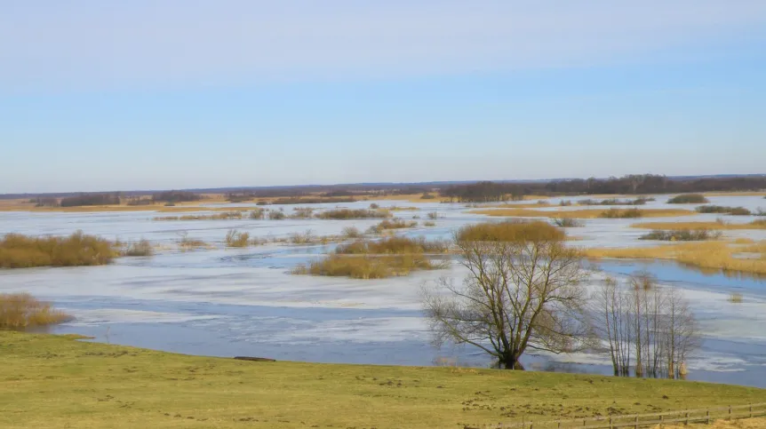 Credit: press materials