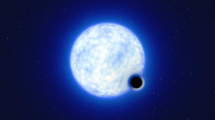 Artist’s impression showing how the binary system VFTS 243 might look like if we were observing it up close. The system, which is located in the Tarantula Nebula in the Large Magellanic Cloud, is composed of a hot, blue star with 25 times the Sun’s mass and a black hole, which is at least nine times the mass of the Sun. The sizes of the two binary components are not to scale: in reality, the blue star is about 200 000 times larger than the black hole. Credit: ESO/L. Calçada