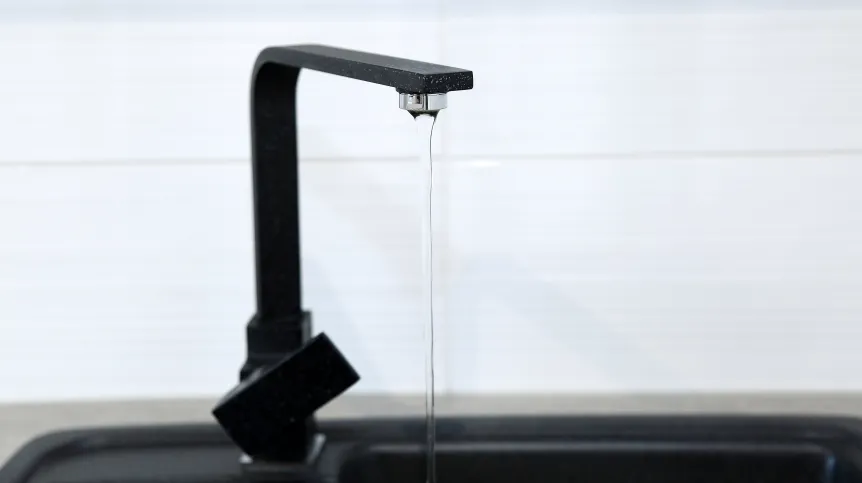 źródło: Adobe Stock