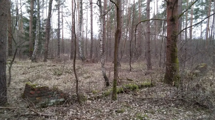 Remains of the Gross-Rosen subcamp Halbau (Iłowa near Żagań). Credit: P. Konczewski