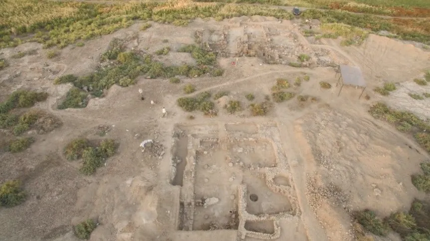 fot. mat. prasowe CAŚ UW