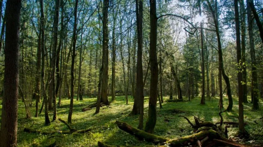Źródło: Fotolia