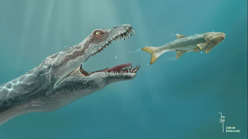 Fot. materiały prasowe