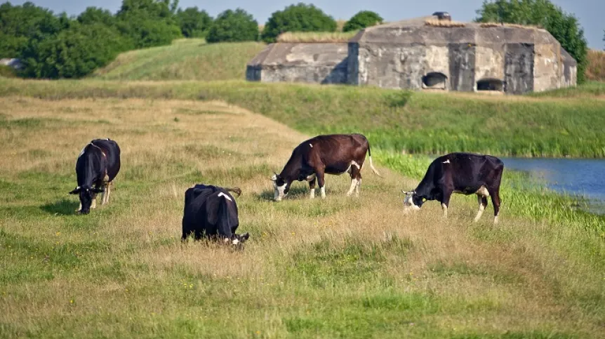 Ruins of Fort Osowiec (Podlasie) 22.07.2015, located in the marshes - in the narrow Biebrza valley near the settlement of Osowiec-Fort in the Goniadz commune, Mońki district. (jo/abug) PAP/Jerzy Ochoński