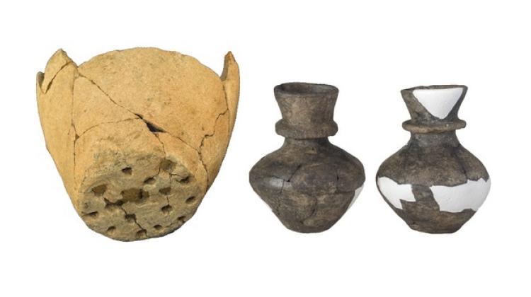 Neolithic ceramics identified with high curd-content residues. Credit: University of York (UK)