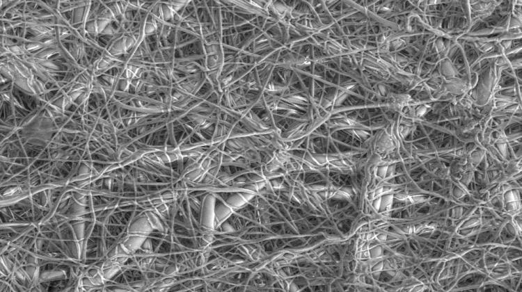 Electron microscope image of the structure of a non-woven nanotextile at 2500 times magnification. Credit: Jakub Wlodarczyk