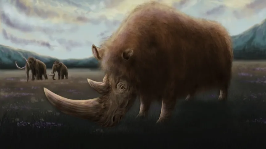 Woolly rhinoceros, credit: Tatiana Kozyk