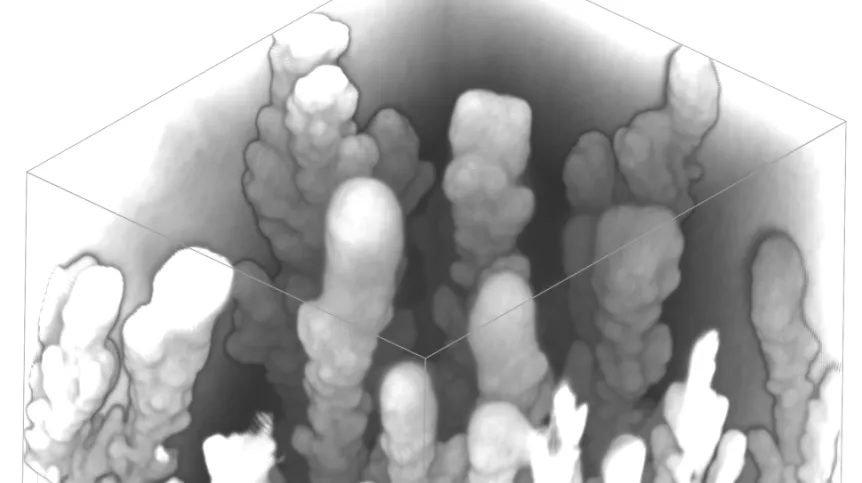 X-ray microtomographic image of manganese dendrite forest. Credit: Department of Geology, University of Vienna