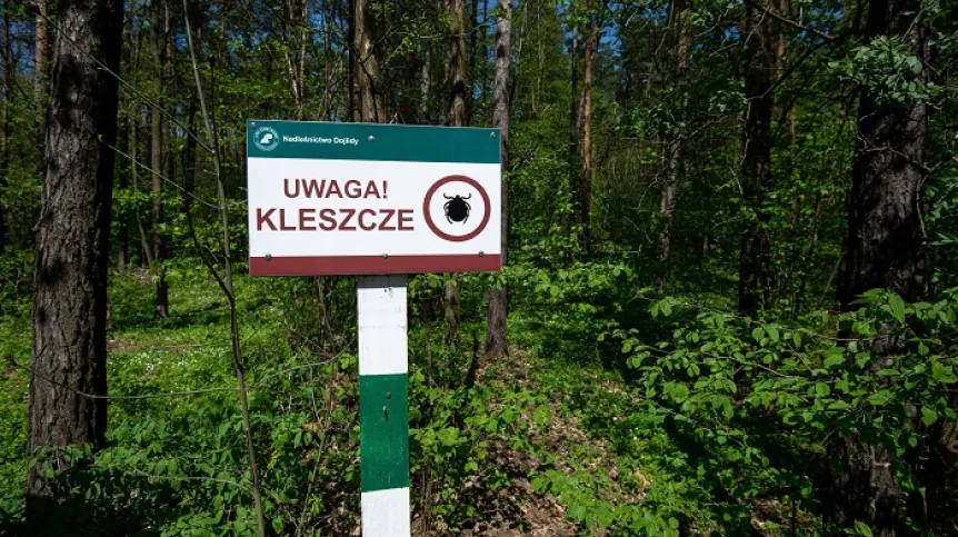 Białystok, 12.05.2021. Tablica ostrzegająca przed kleszczami ustawiona przed wejściem do Rezerwatu Antoniuk w Nadleśnictwie Dojlidy, 12 bm. (mz/doro) PAP/Michał Zieliński