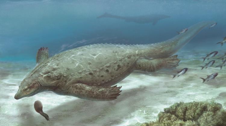 Reconstruction by Zhixin Han. Credit: Institute of Paleobiology PAS