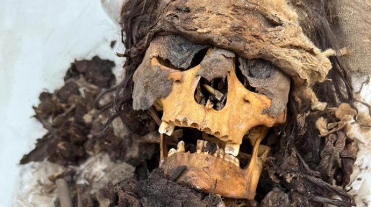 Partially mummified head of a woman at Cerro Colorado. Credit: Ł. Majchrzak