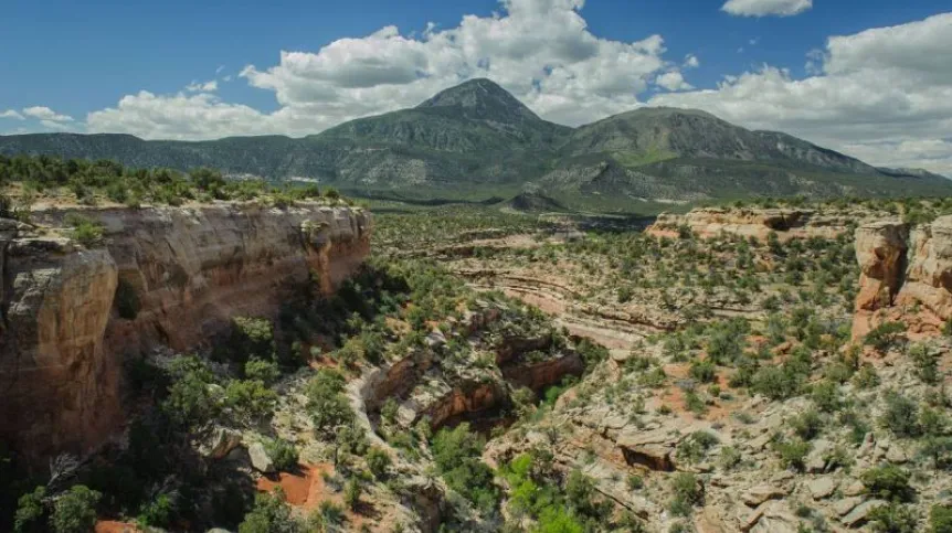 Fot. materiały prasowe UJ