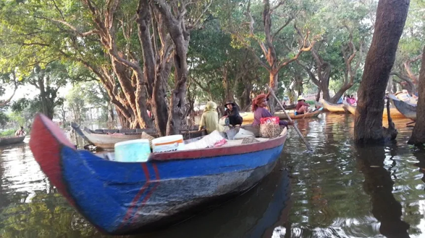 Transport of fish after fishing on Tonle Sap Lake, Cambodia (the lake is overfished and losing species diversity). 2014. Credit: A.Afelt