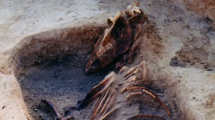 Photo from Maciej Karczewski's private archive