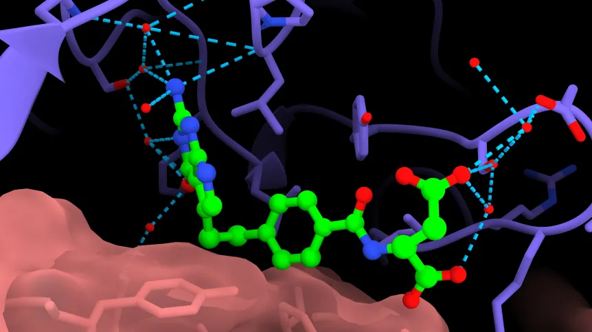 Structural biology enables rational, and therefore more effective, drug design by providing evidence of how to attach drugs to proteins. Credit: SOLARIS National Synchrotron Radiation Centre