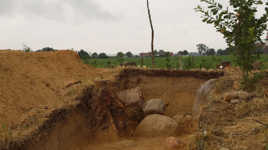 Source: Greater Poland Voivodeship Landscape Parks Complex (ZPKWW)