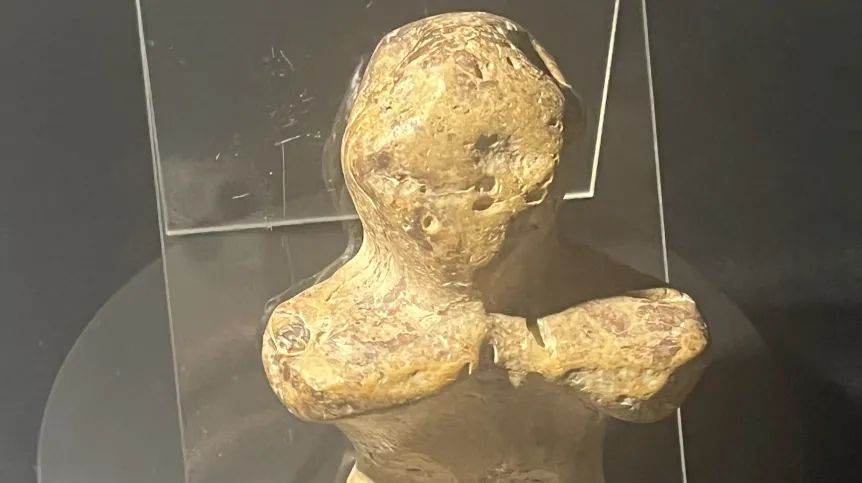 Fot. materiały prasowe