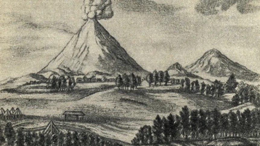 Archiwalka grafika pt. wilkany Kamczatki (Histori Kamczatki, 1755) Adobe Stock