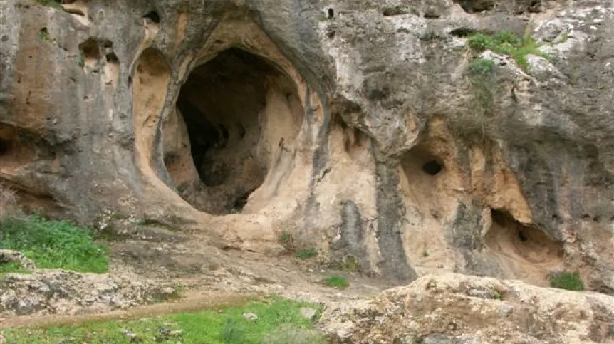 Fot. R Yeshurun/Wikipedia/  CC BY-SA 3.0