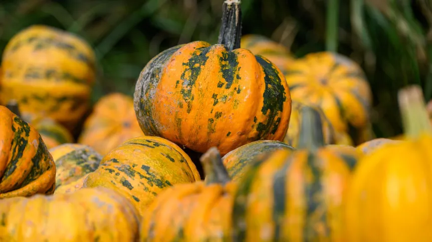 24.09.2024 PAP/Jakub Kaczmarczyk