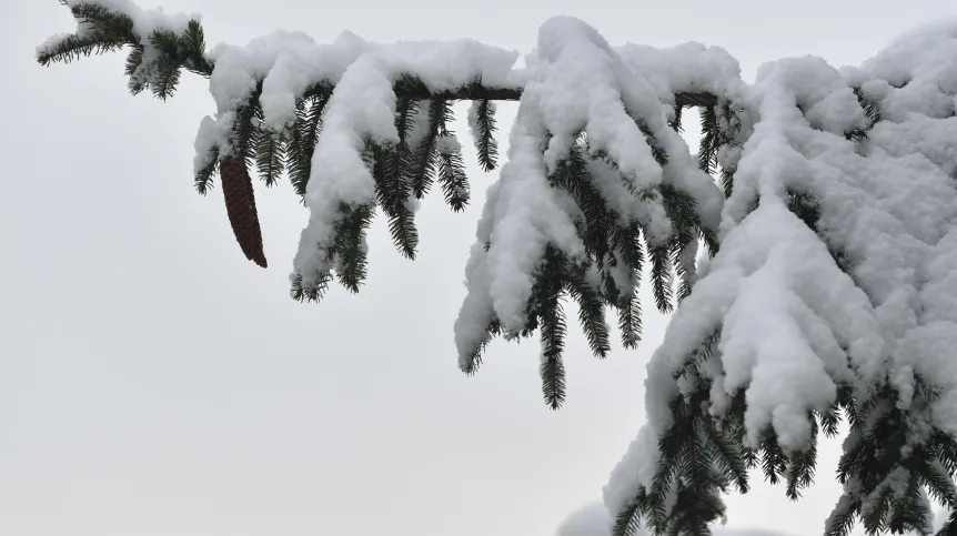 19.11.2022.  PAP/Adam Warżawa
