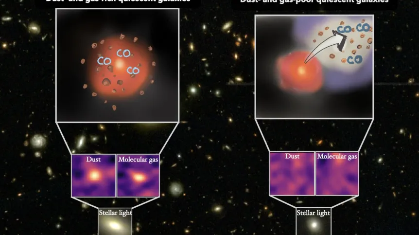 Ilustracja kontrolna ukrytą nieaktywnych: podłączone i wygaszone, które są podobne do tego, i stare w świetle gwiazd obserwowanych przez JWST (dół), obrazy ALMA pojawiają się, że zawartość zimnego pyłu i gazu molekularnego może się pojawić. Rozprzestrzenianie się pyłu i gazów (po lewej), podczas gdy inne są prawie wyczerpane (po prawej), co następuje na skutek ewolucyjnego porażenia formowania się gwiazd. Źródło: NCBJ