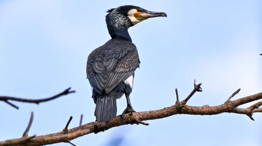 13.04.2025 PAP/Andrzej Jackowski