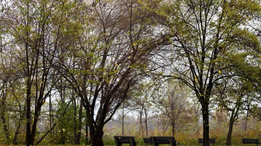 Katowice (ag/dw) PAP/Andrzej Grygiel