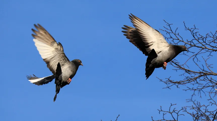 23.03.2026 PAP/Szymon Pulcyn