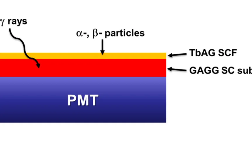 Fot. materiały prasowe
