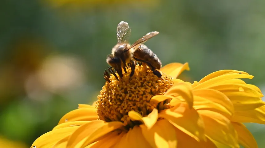 18.08.2022PAP/Marcin Bielecki