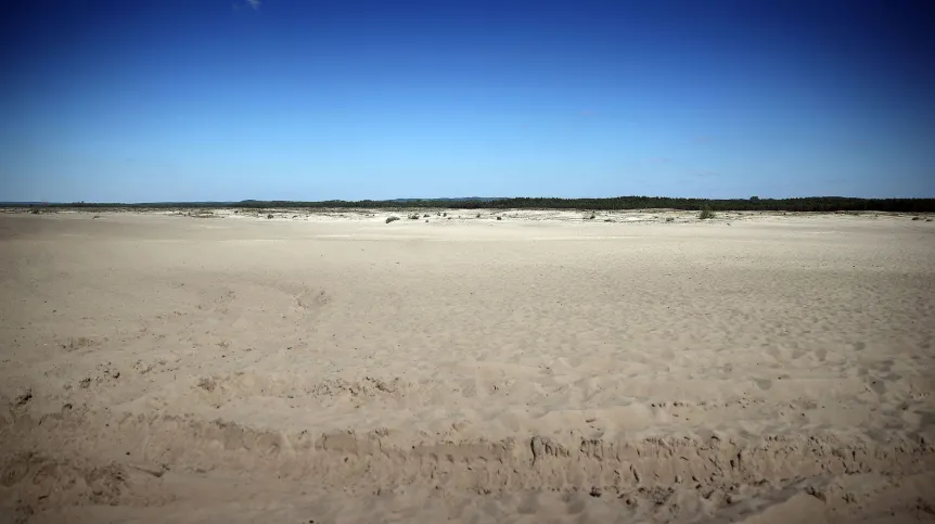 03.06.2022. Pustynia Błędowska. PAP/Łukasz Gągulski