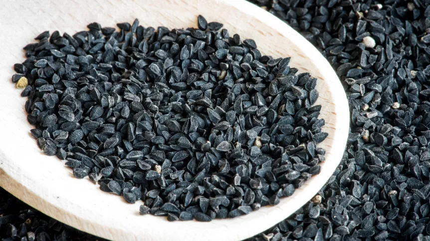 05.01.2015. Czarnuszka siewna - nigella sativa. PAP/Tytus Żmijewski    