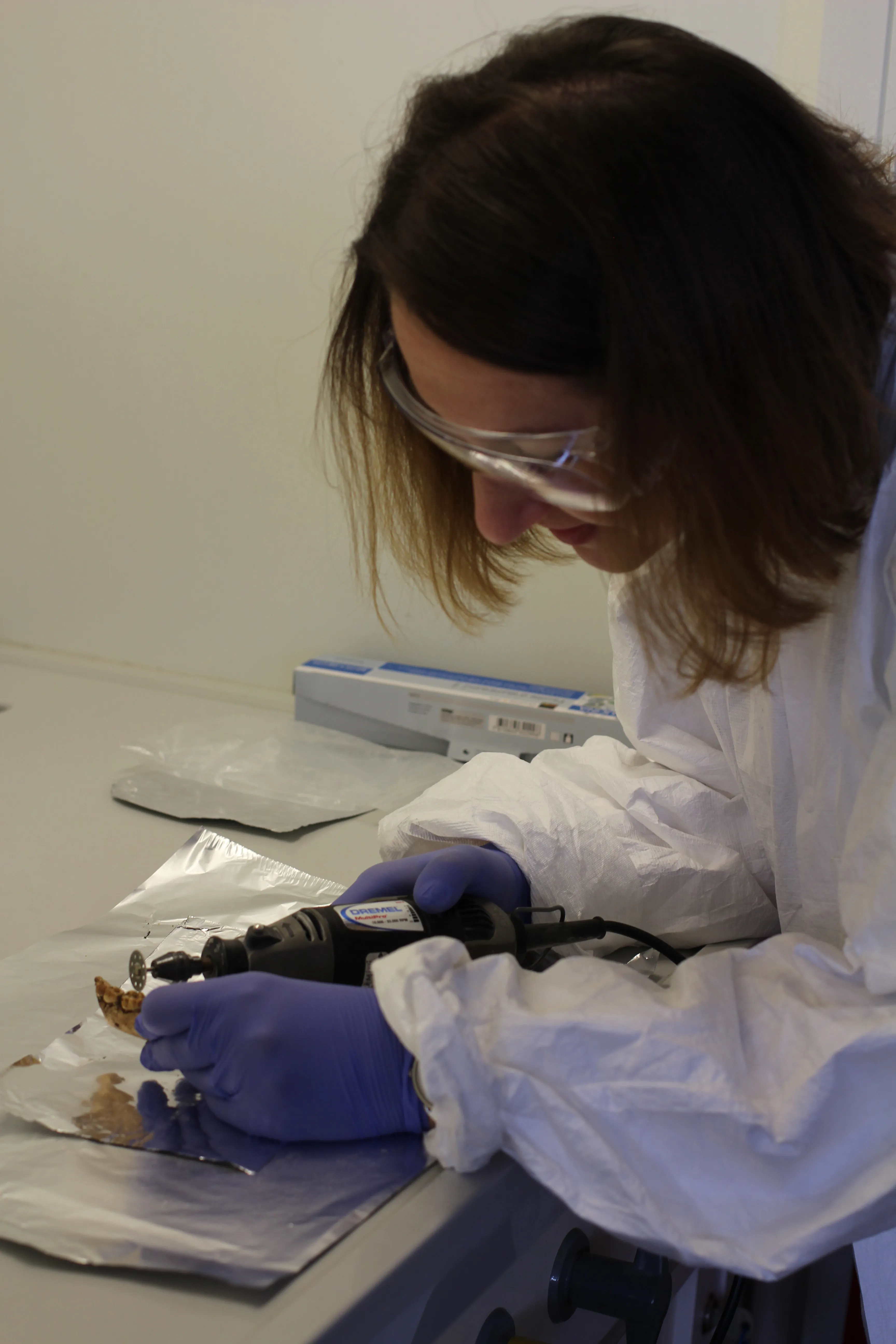 I. Kozieradzka-Ogunmakin w czasie pracy w laboratorium, fot. archiwum prywatne