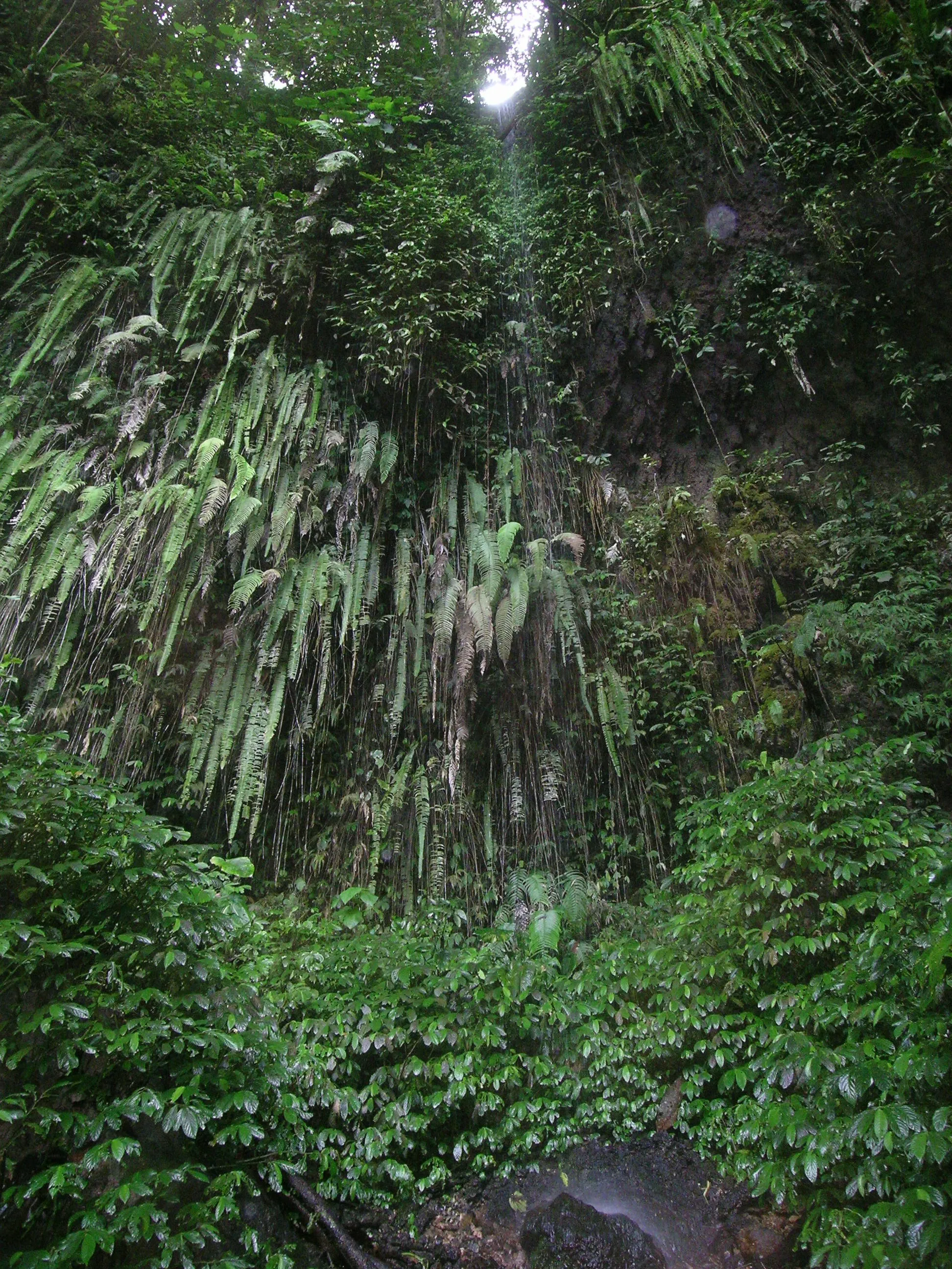 autor: dr Radomir Jaskuła UŁ