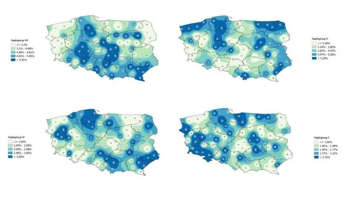 Distribution of haplogroups in Poland. Source: Biobank Laboratory, University of Lodz