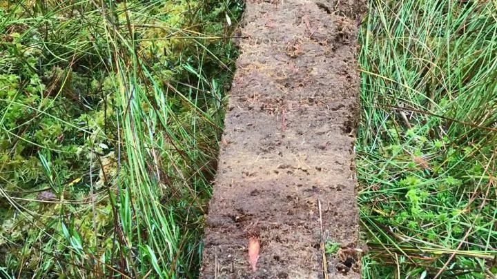 Core sample collected during research, photo by M. Lamentowicz