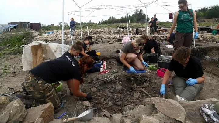 Wrocław University of Environmental and Life Sciences students also participate in the cemetery research as part of a summer practice program. Photo by P. Konczewski