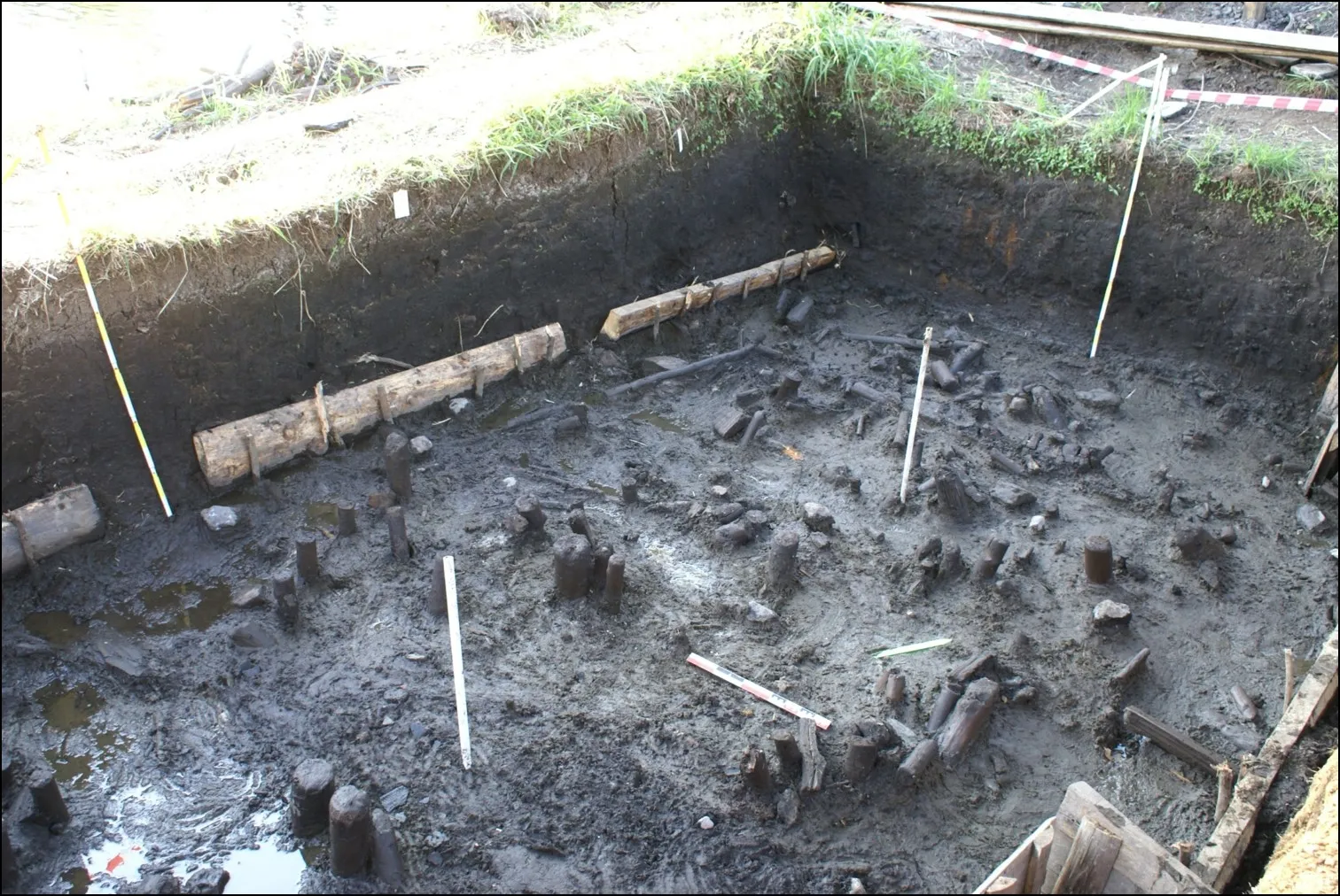 Fot. Dr hab. Piotr Kittel, UŁ