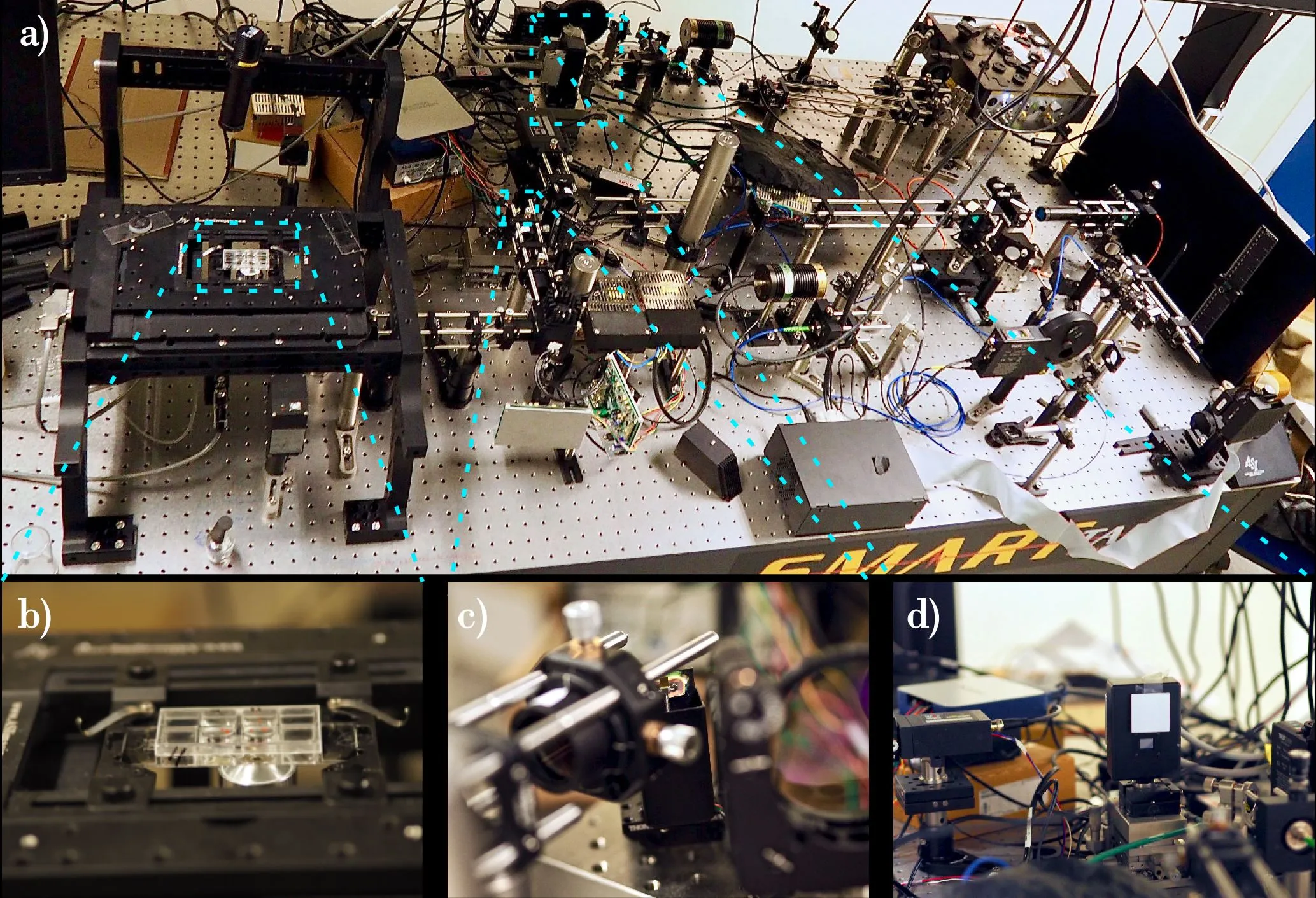 Photo of the microscope; it occupies the entire optical table and is built of many parts. The approximate parts show: a. The entire microscope b. Place of test sample insertion c. Scanning mirror d. Light modulator used to correct aberrations. Credit: Piotr Zdańkowski