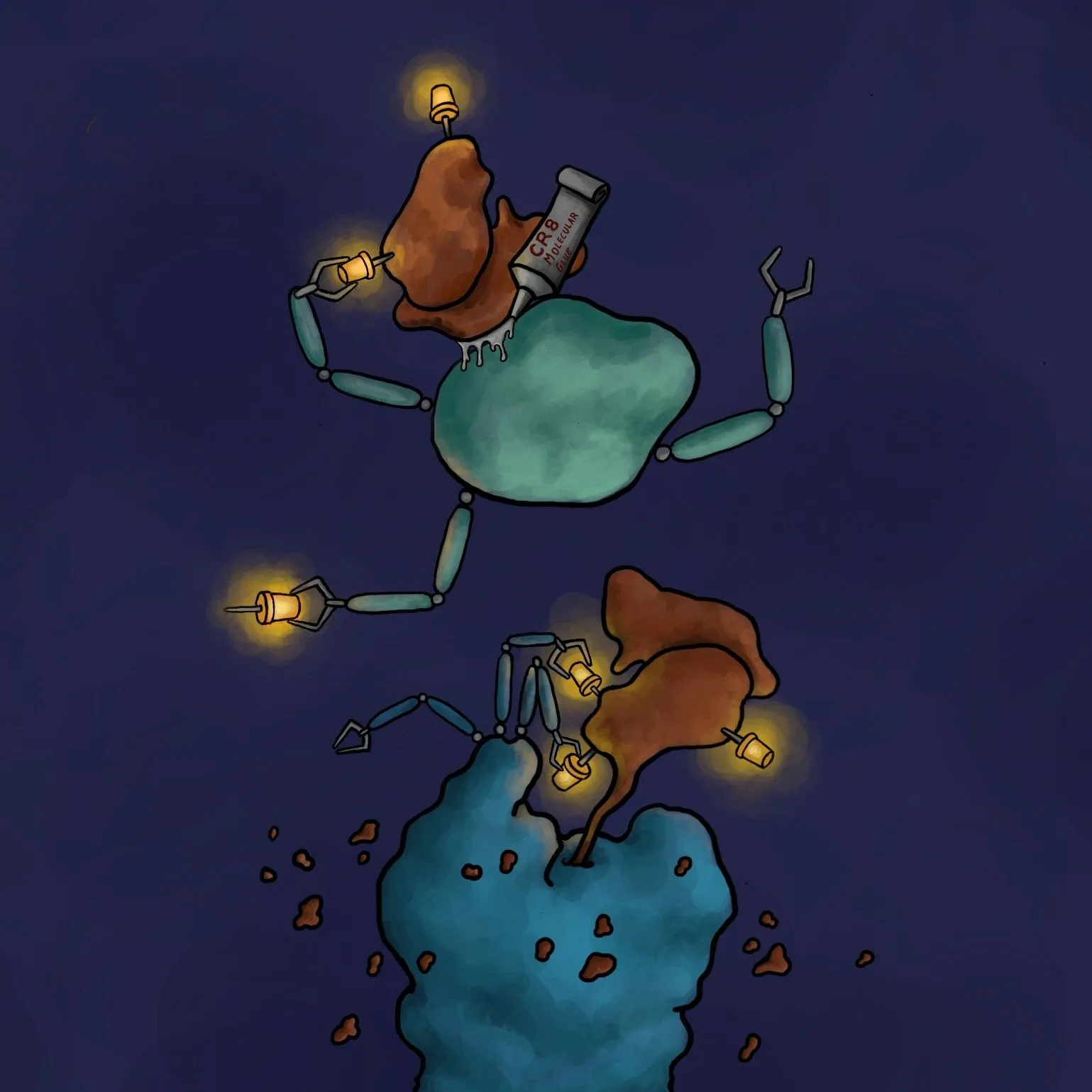 The mechanism of action of the degrader - molecular glue. The degrader CR8 glues the cyclin K/CDK12 complex (brown) with an ubiquitin ligase (green), which leads to ubiquitination of cyclin K (yellow pins). This causes cyclin K degradation by the proteosome, or 'molecular rubbish bin' (blue). Credit: Jonas Koeppel.