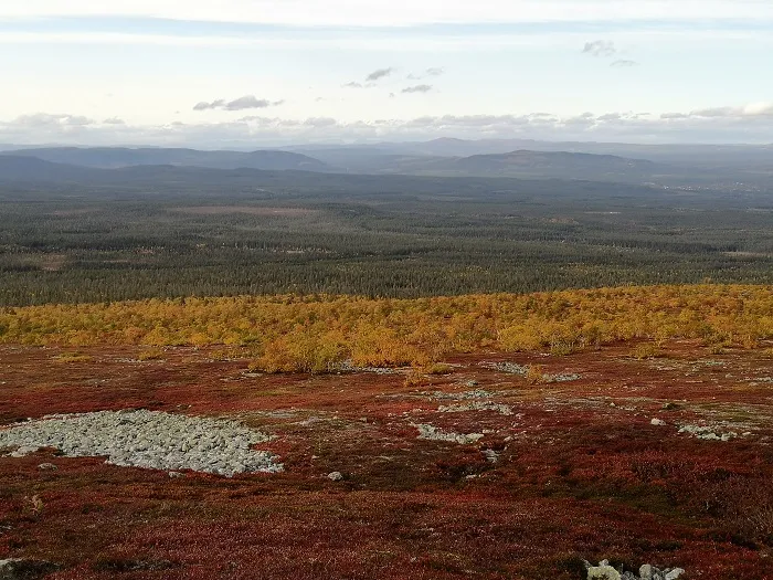 The Scandinavian Mountains Green Belt, credit: G. Mikusiński