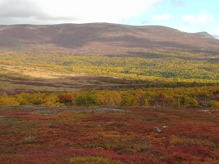 The Scandinavian Mountains Green Belt, credit: G. Mikusiński