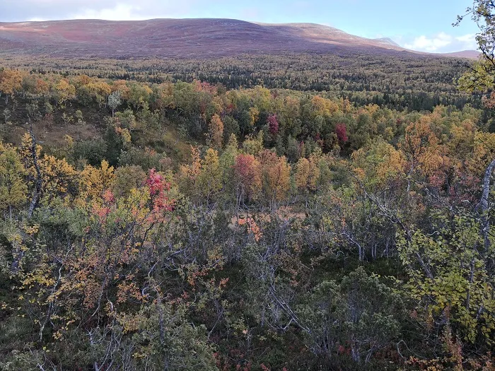 The Scandinavian Mountains Green Belt, credit: G. Mikusiński