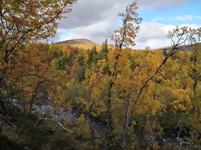 The Scandinavian Mountains Green Belt, credit: G. Mikusiński