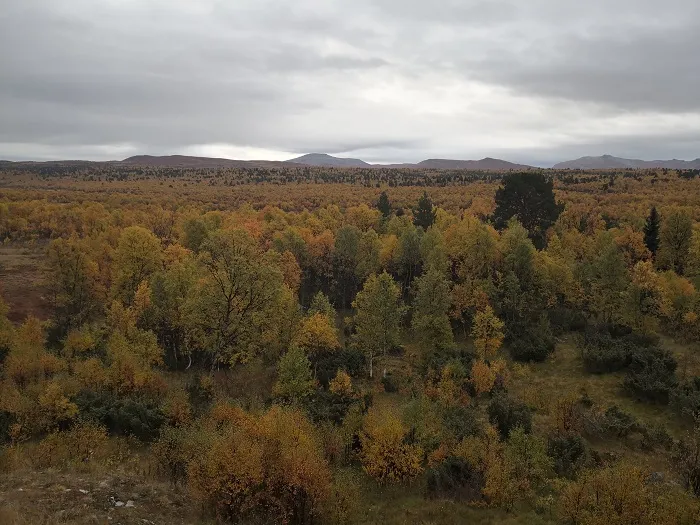 The Scandinavian Mountains Green Belt, credit: G. Mikusiński