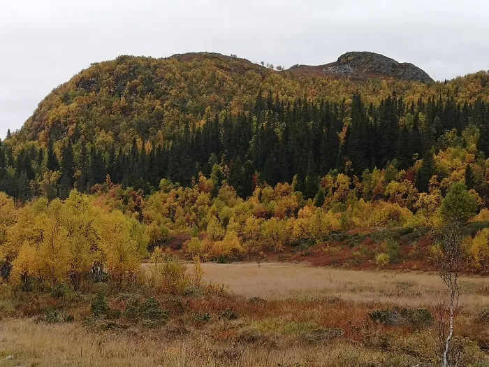 The Scandinavian Mountains Green Belt, credit: G. Mikusiński