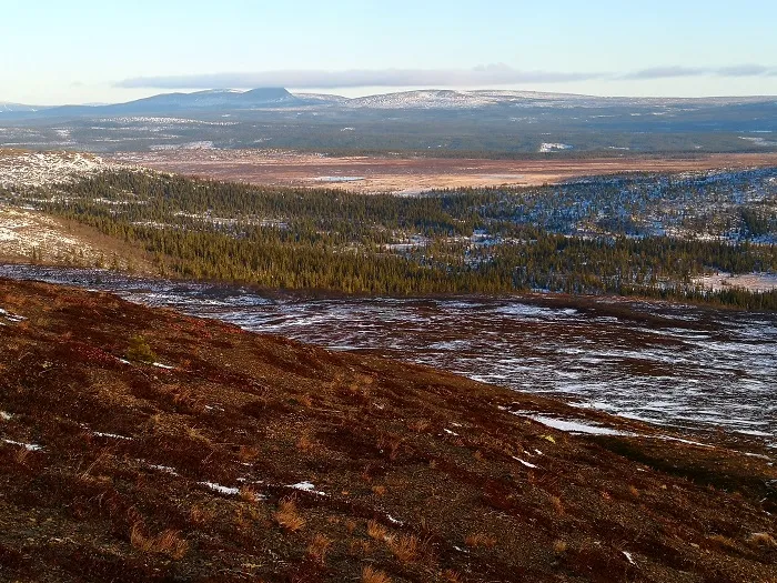 The Scandinavian Mountains Green Belt, credit: G. Mikusiński